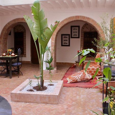La Maison Berber Shams Marrakesch Exterior foto